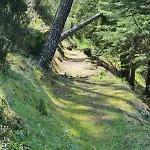 Quinta Dos Avós Lourenço * Sertã