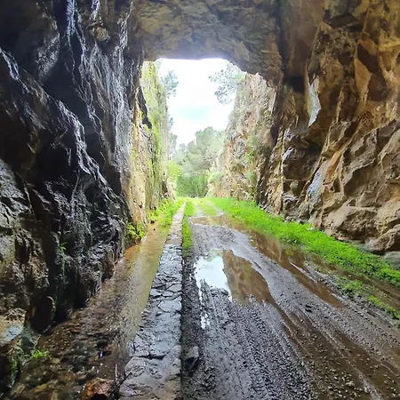Quinta Dos Avós Lourenço Casa rural