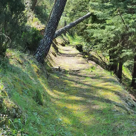 Quinta Dos Avós Lourenço * Sertã