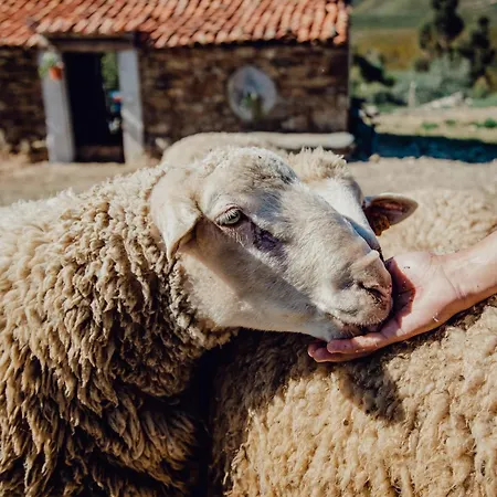 Casa rural Quinta Dos Avós Lourenço *