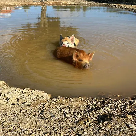Casa rural Quinta Dos Avós Lourenço