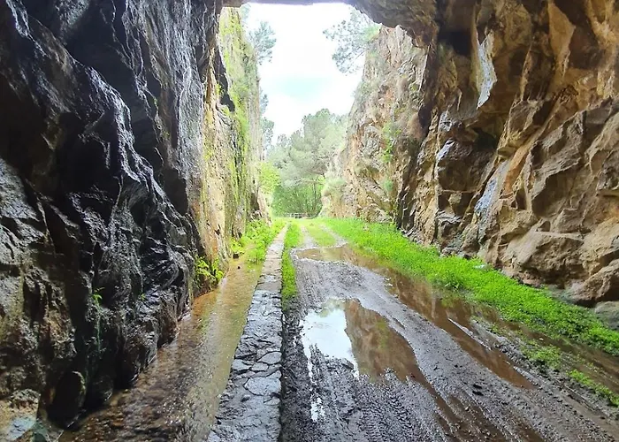 Quinta Dos Avos Lourenco בית כפרי