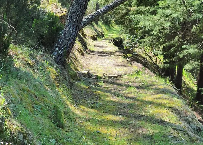 Quinta Dos Avos Lourenco * Sertã