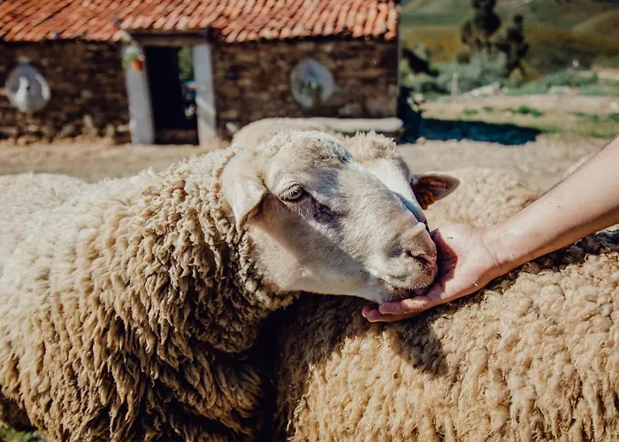 בית כפרי Quinta Dos Avos Lourenco *